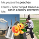 Image for article titled How memes gave The Presidents Of The United States Of America’s “Peaches” new life